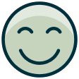 icon_policy
